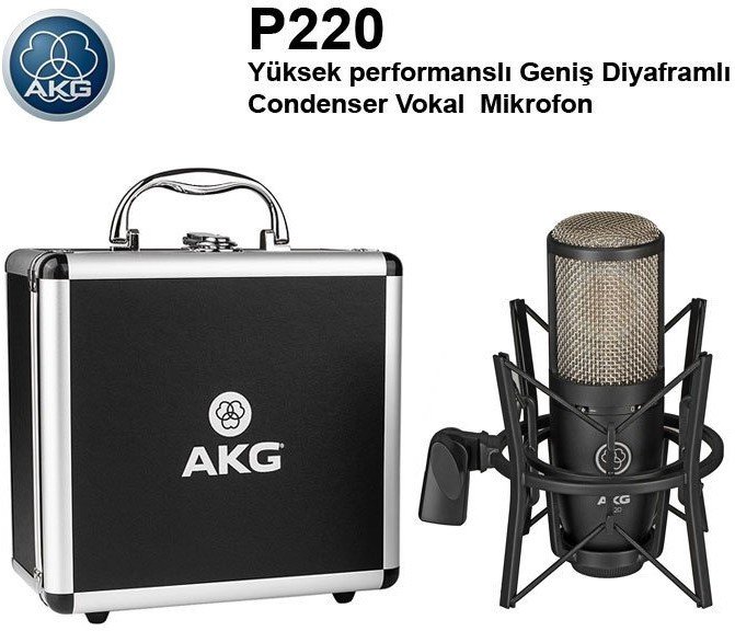 AKG P220 Profesyonel Enstrüman Mikrofonu